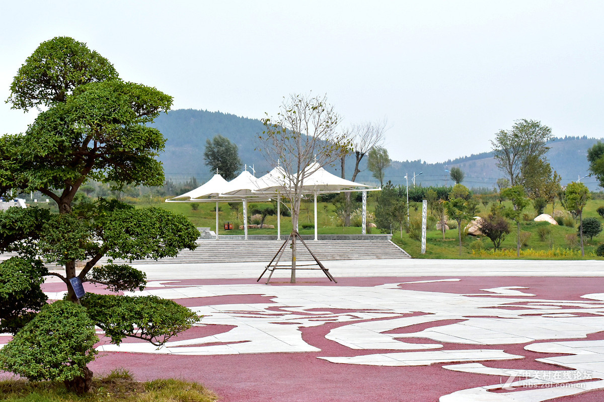 尼康D750+70-200镜头，鲜艳模式下，锐度7，ISO自动，光圈优先模式拍摄的图片，请指点