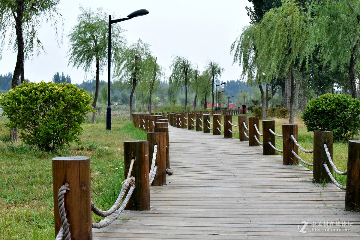 尼康D750+70-200镜头，鲜艳模式下，锐度7，ISO自动，光圈优先模式拍摄的图片，请指点