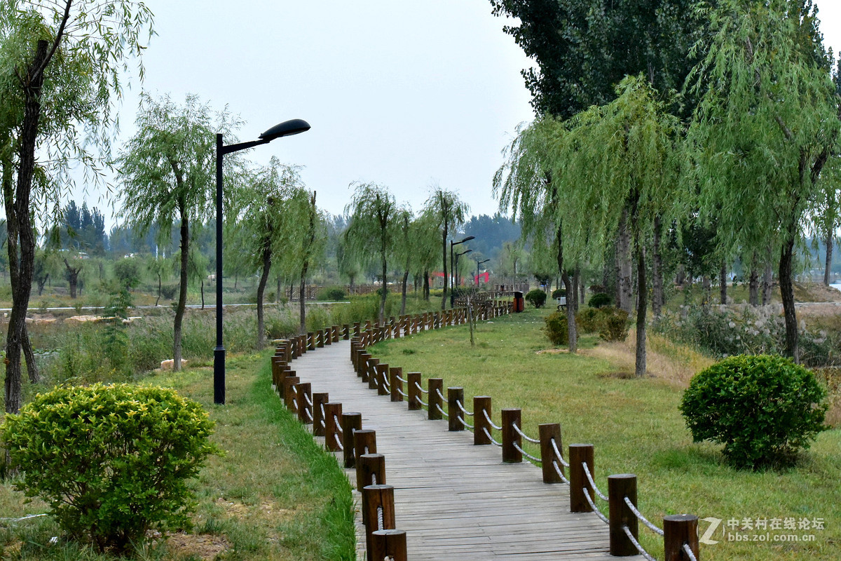 尼康D750+70-200镜头，鲜艳模式下，锐度7，ISO自动，光圈优先模式拍摄的图片，请指点