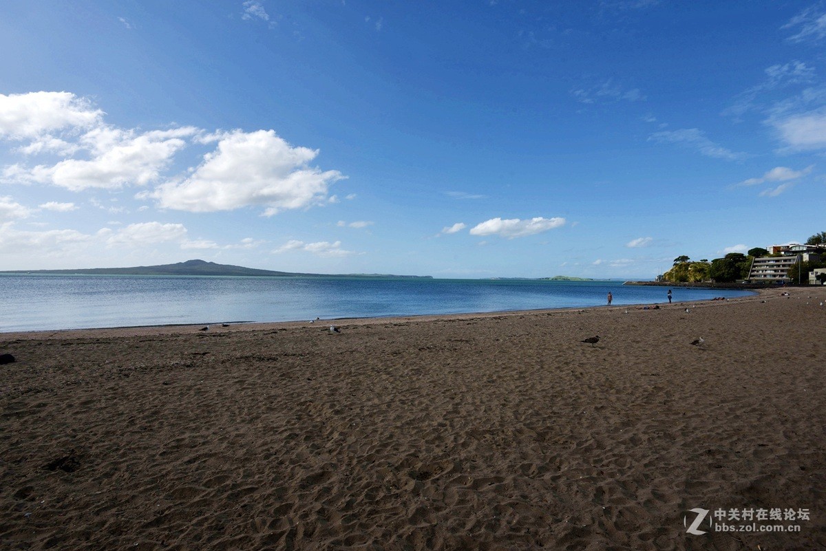 奥克兰市中心最近的使命湾 海滩