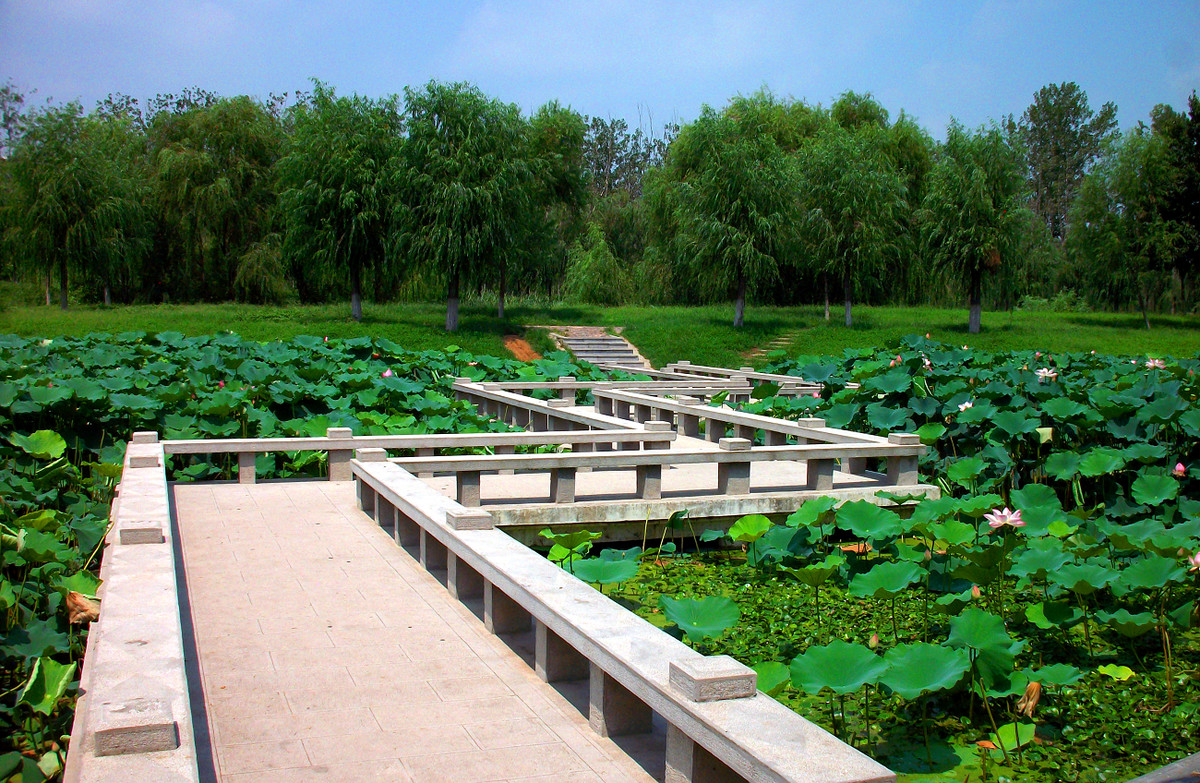 濱河公園隨拍