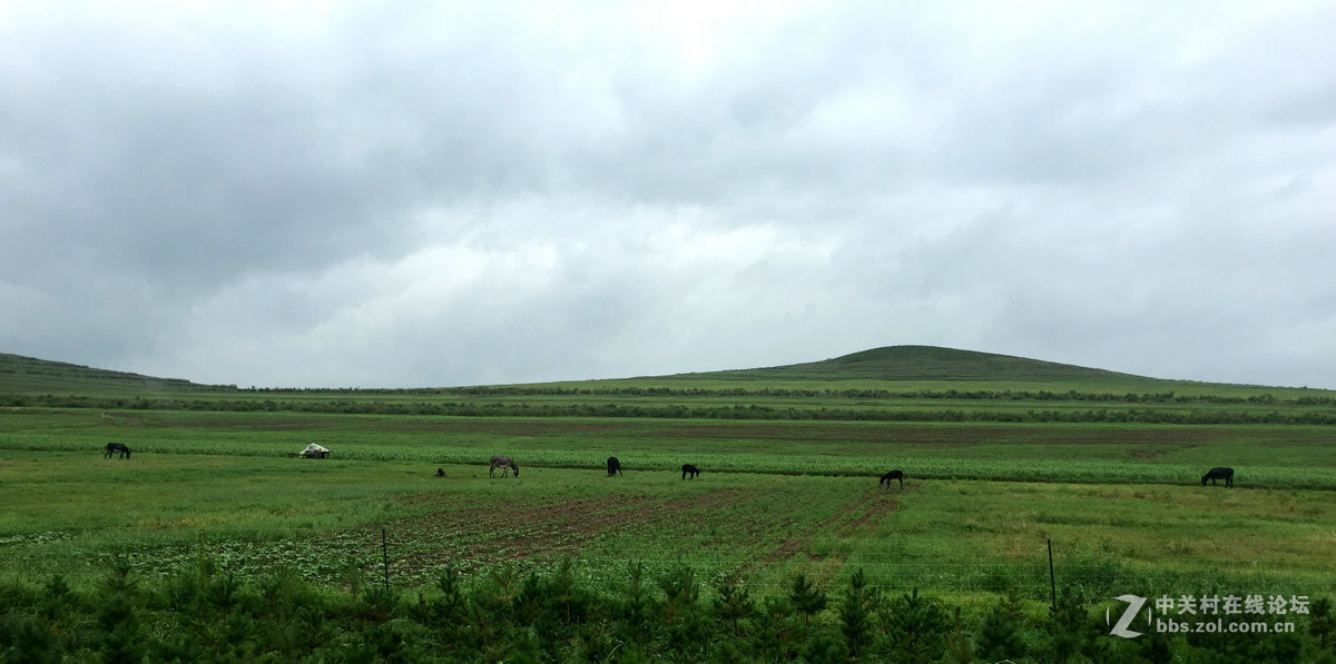 2016夏 长沙到漠河（8）阿鲁科尔沁旗