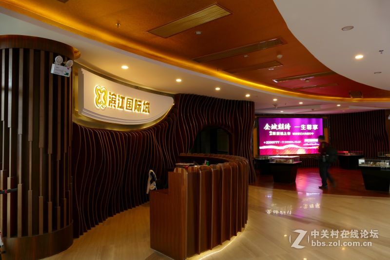 【首届【印象滨江国际城】摄影大赛】活动作业（初次发帖）