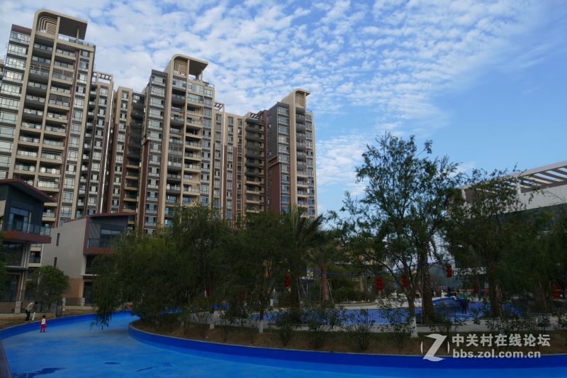 【首届【印象滨江国际城】摄影大赛】活动作业（初次发帖）