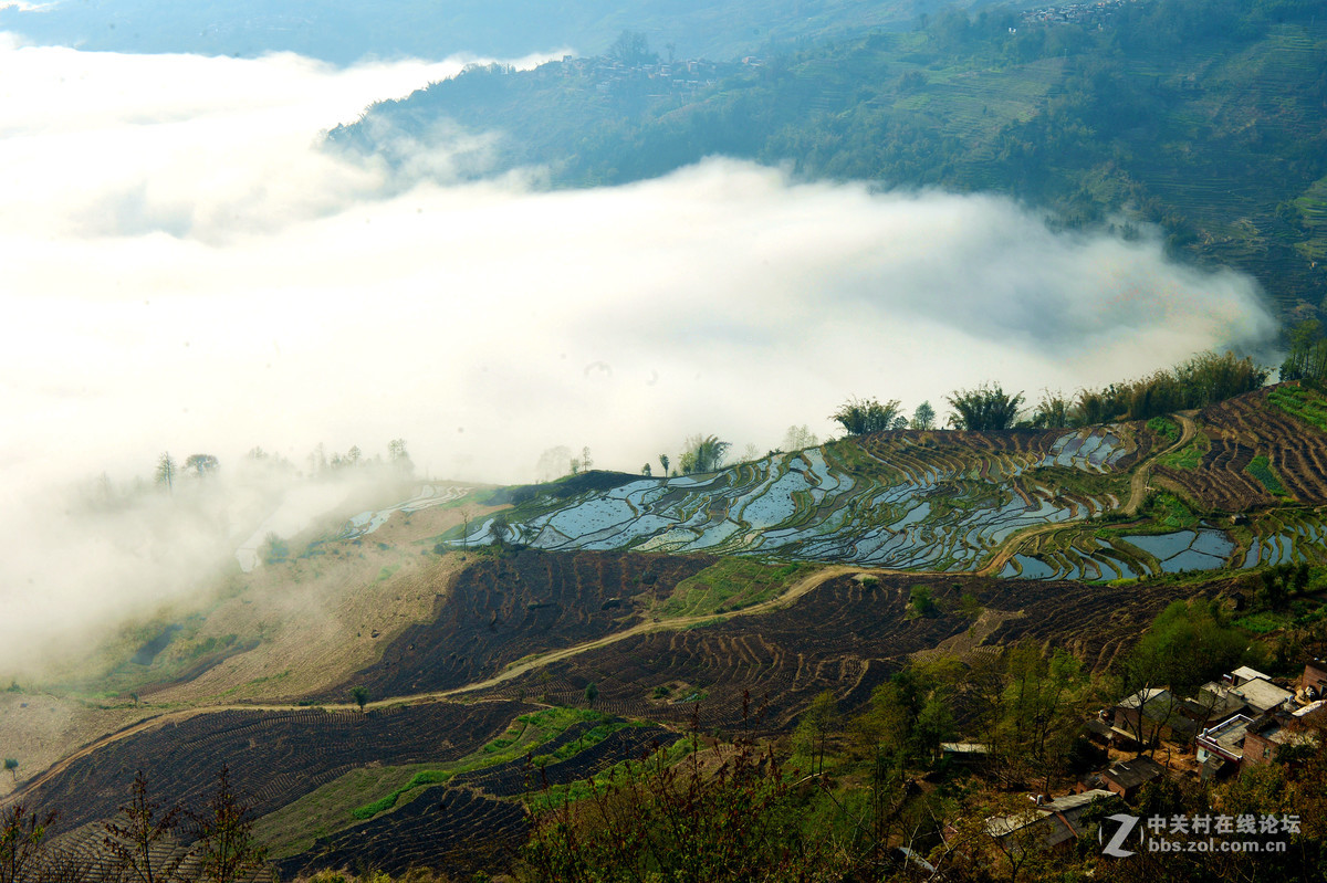 元阳梯田云