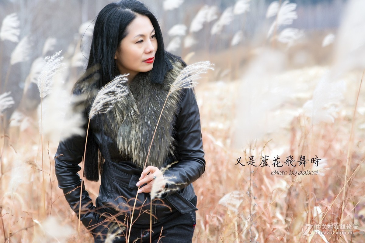 芦花飞扬 思念成殇