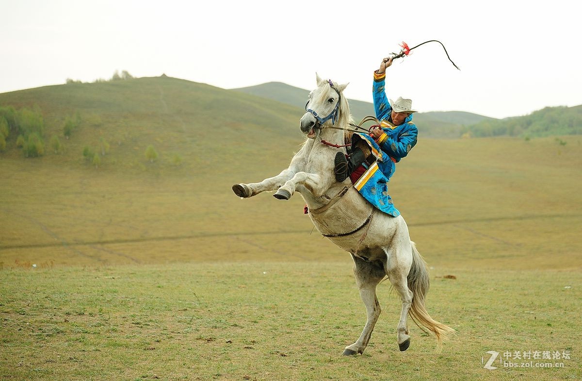 难忘乌兰布统之行（6）-----扬鞭立马         豪气冲天