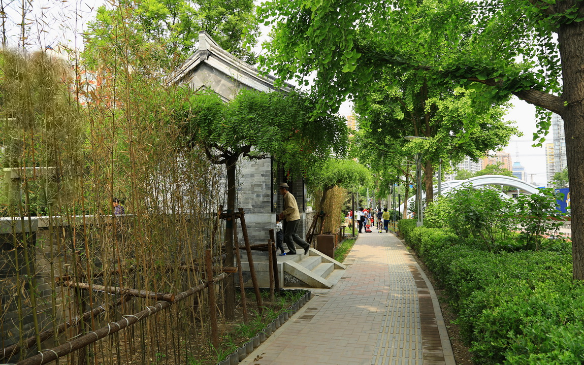 莲花河畔小品一组——贺老师“晚之秋”荣任佳能5DsR板块版主