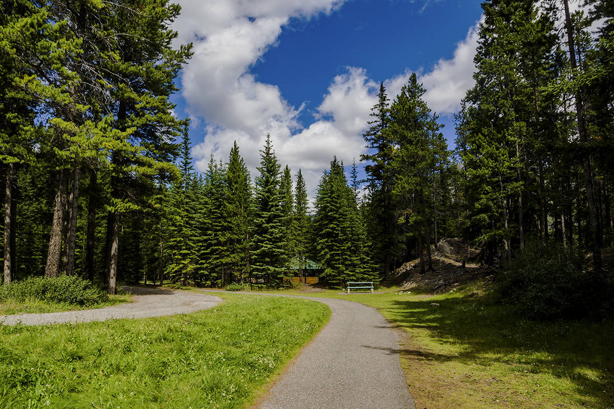 加拿大、美国游记（003）：赴班芙国家公园途中抓拍（二）