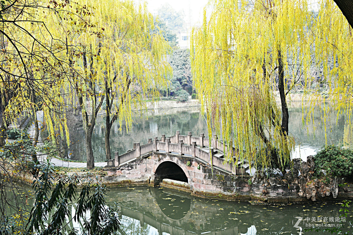 中国风-小桥流水场景_模板素材-稿定设计