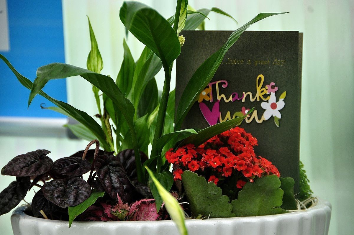 千种世园花卉顺义预展 纪实片（四）