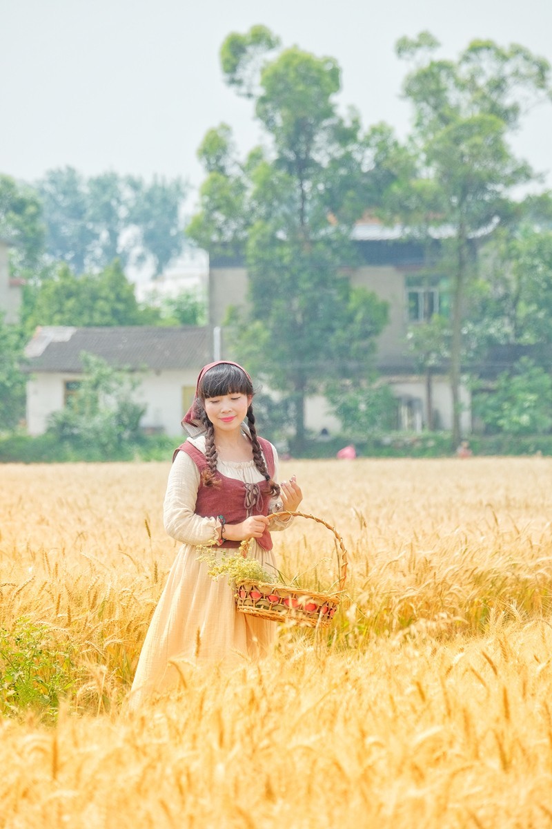 农趣－－－收获季节