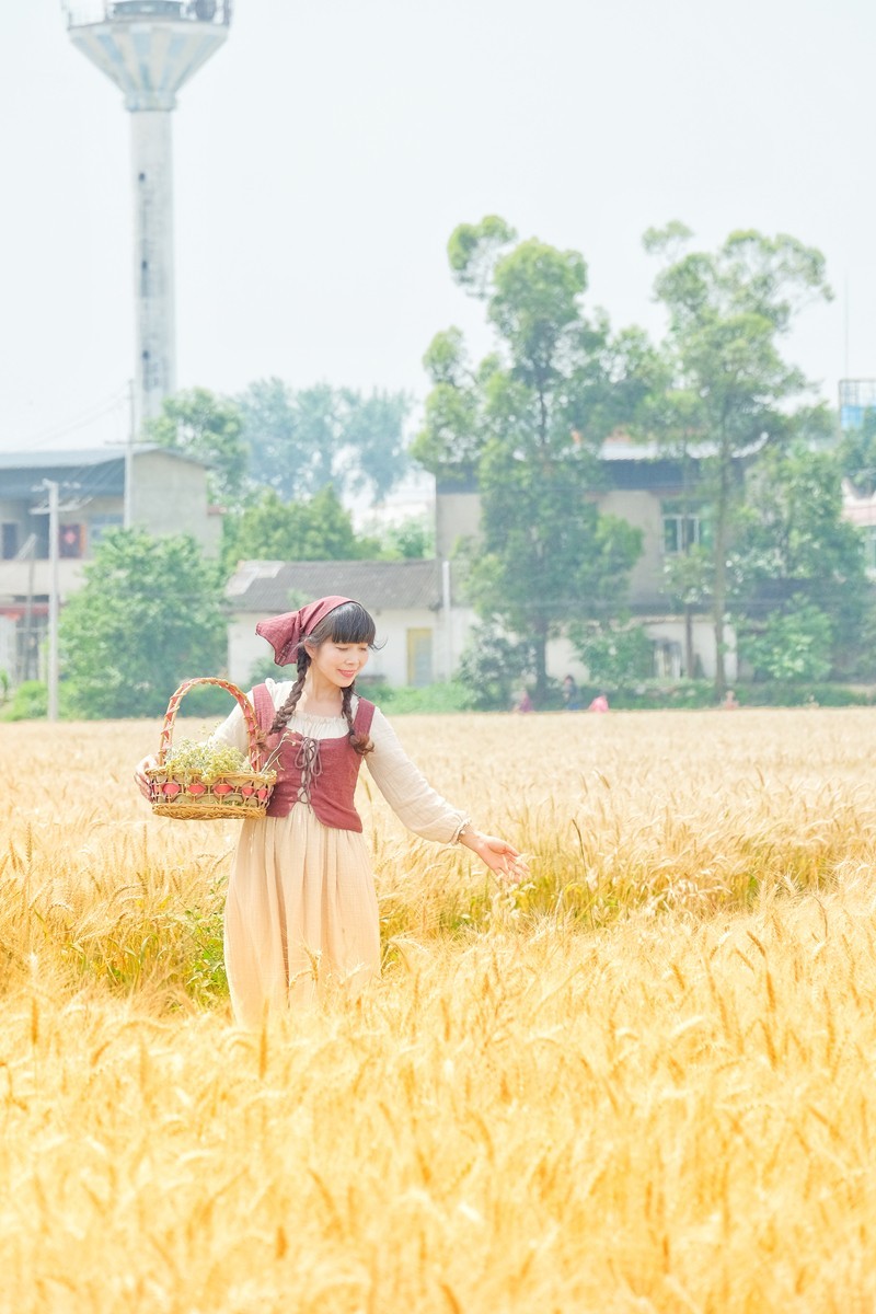 农趣－－－收获季节