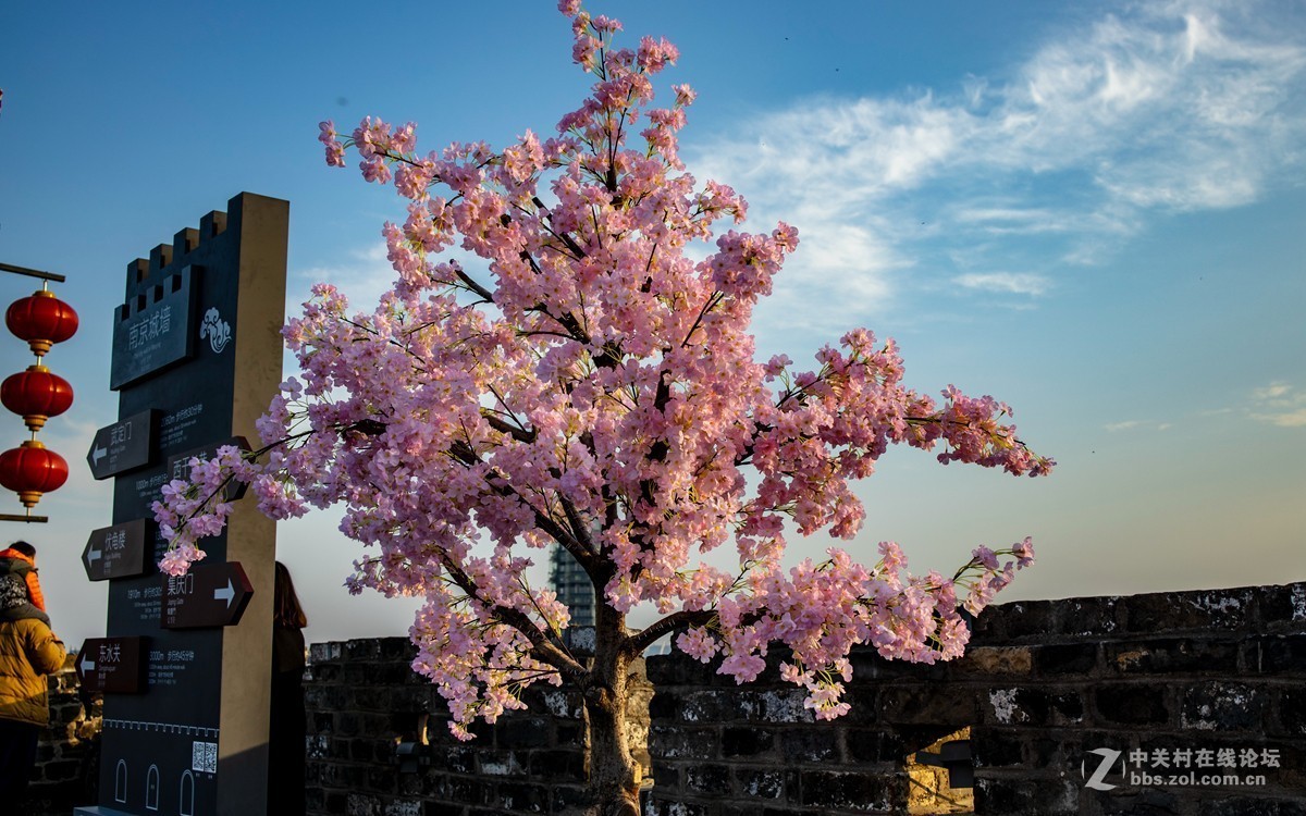 秦淮灯展前试探