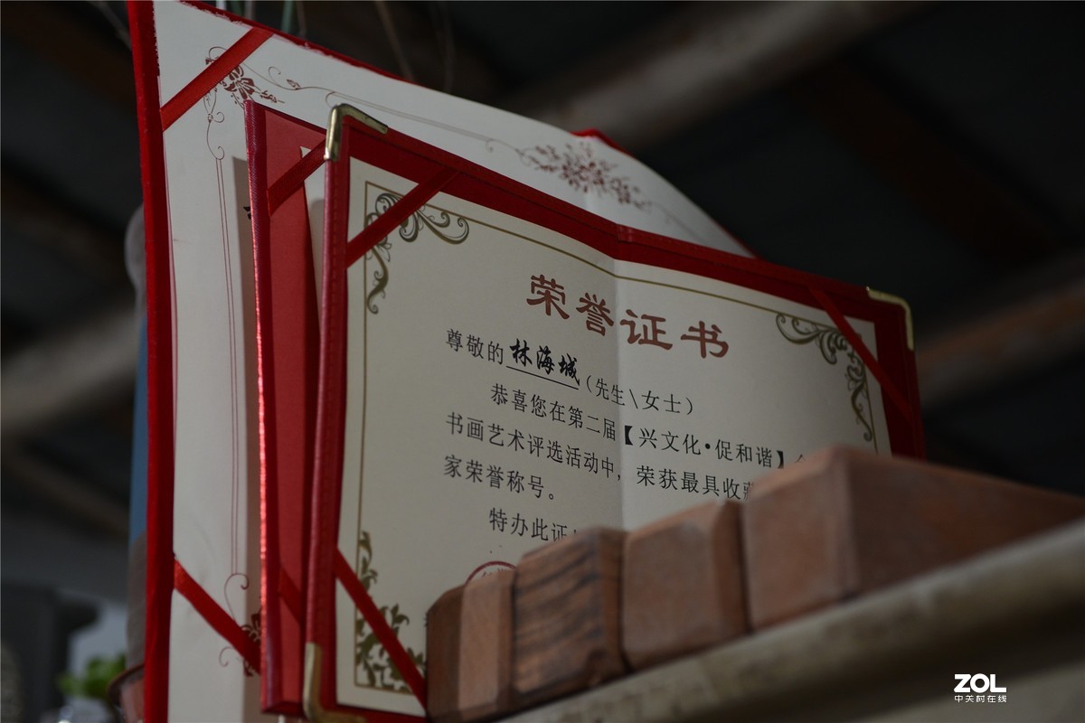 采访著名画家林海诚，录制揭阳电视台民生热线、编辑里湖前后、摄影里湖茶佬。