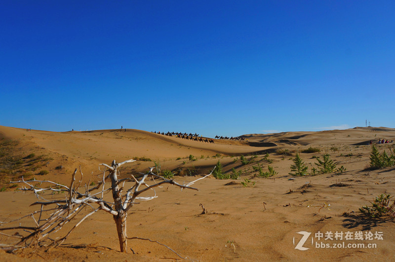 假期游内蒙响沙湾,山西老牛湾.