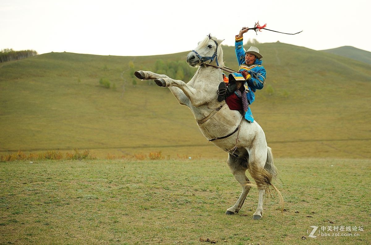 难忘乌兰布统之行（6）-----扬鞭立马         豪气冲天