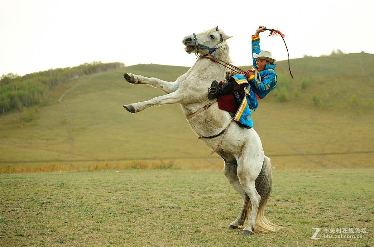 难忘乌兰布统之行（6）-----扬鞭立马         豪气冲天