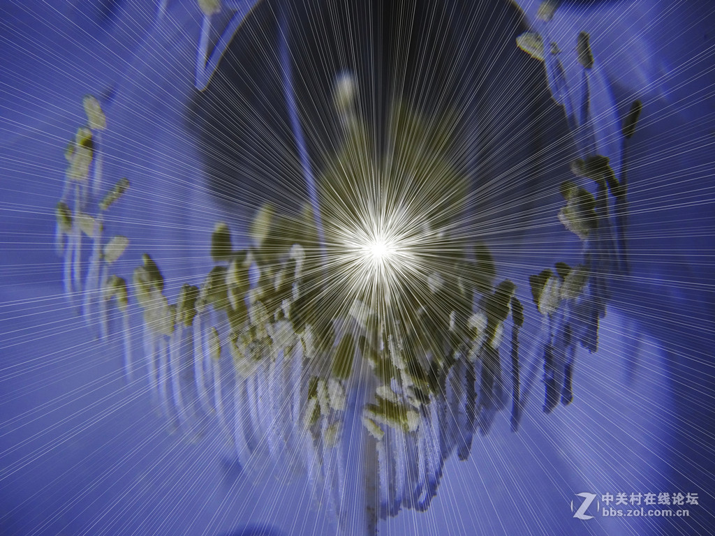 微距昙花延时摄影