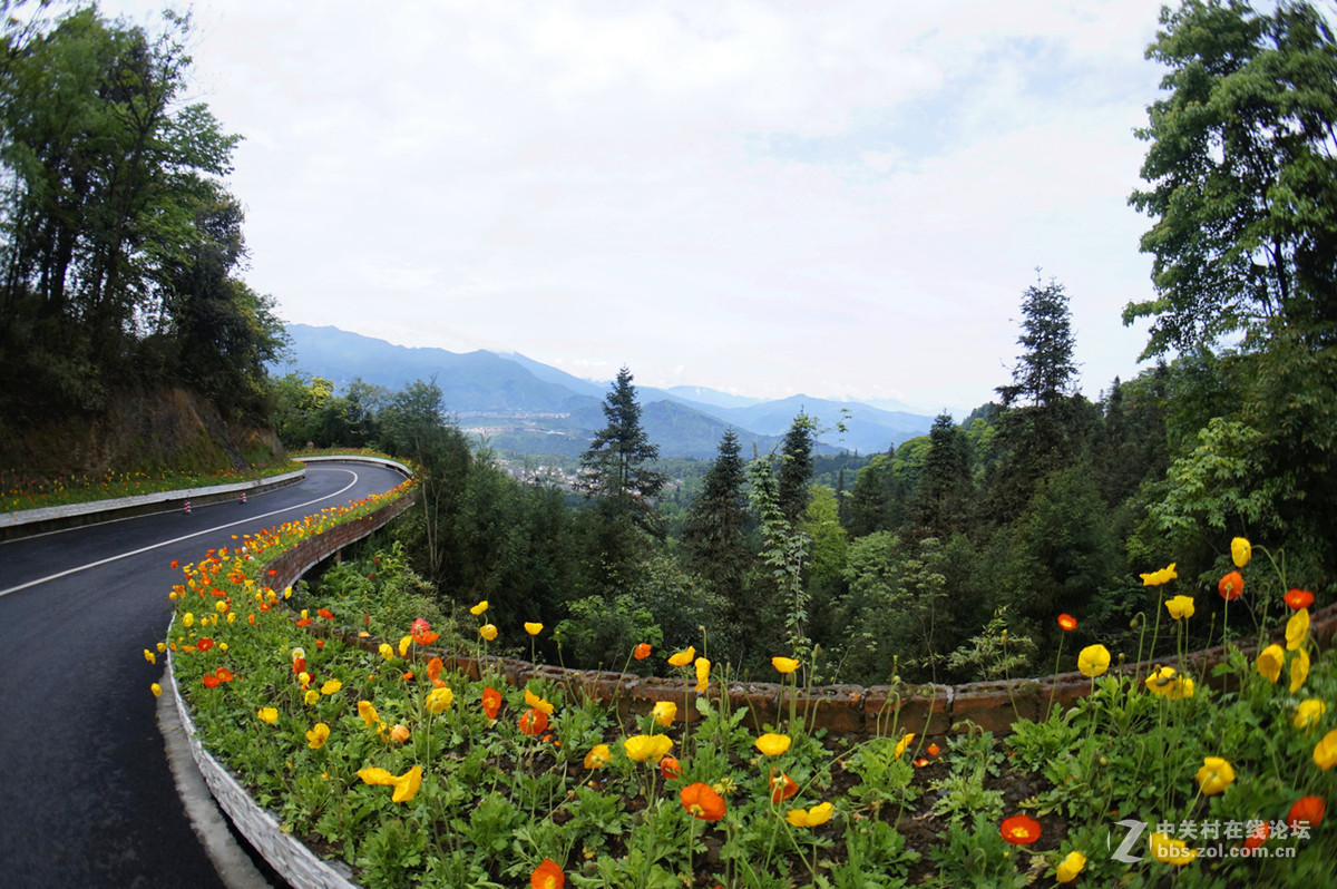 峨眉山半山上的雲中花嶺