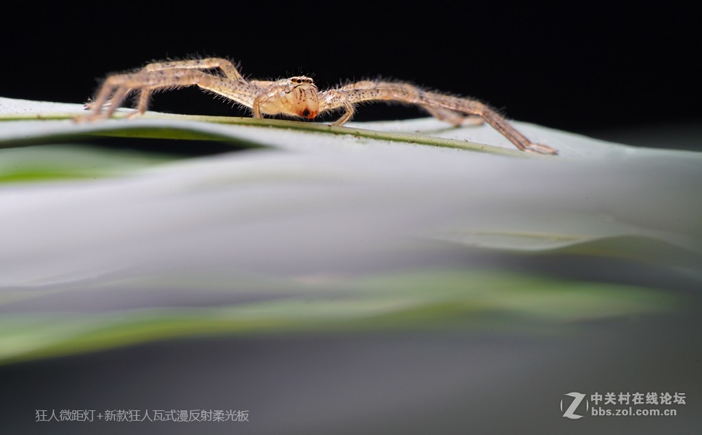 狂人瓦式漫反柔光板测试片
