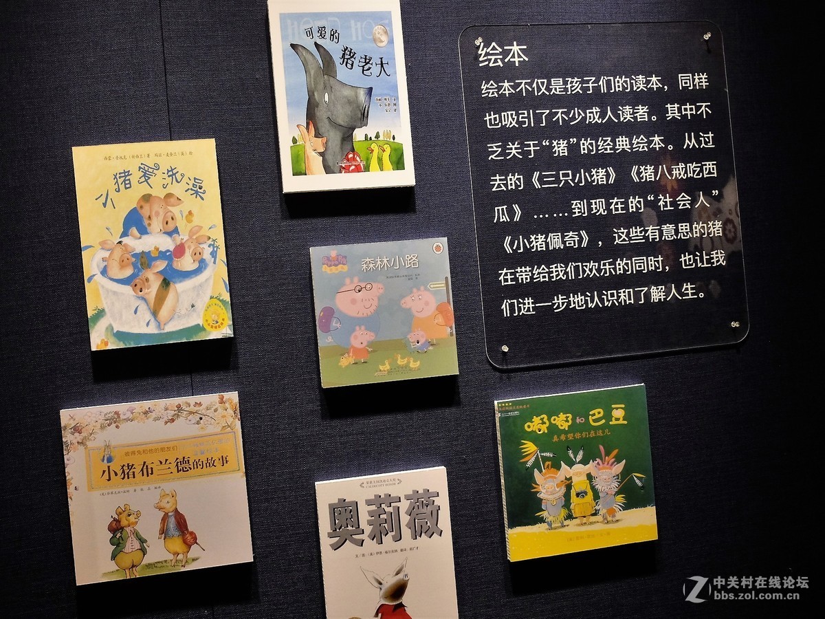 【猪】事如意——预祝大家猪年快乐、吉祥如意！！！