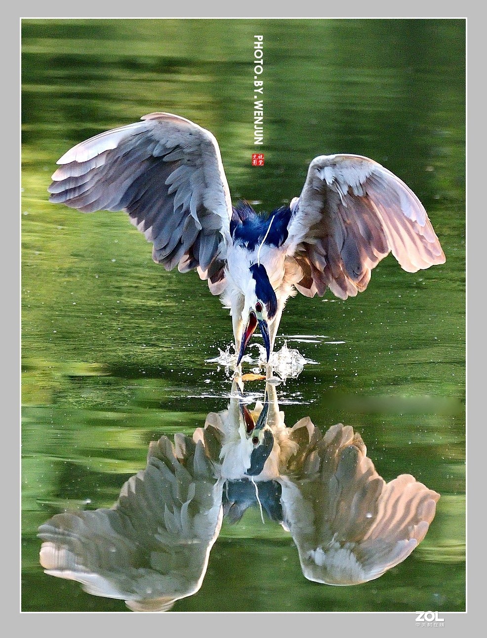 #回顾2019# 我购买了一台尼康D500