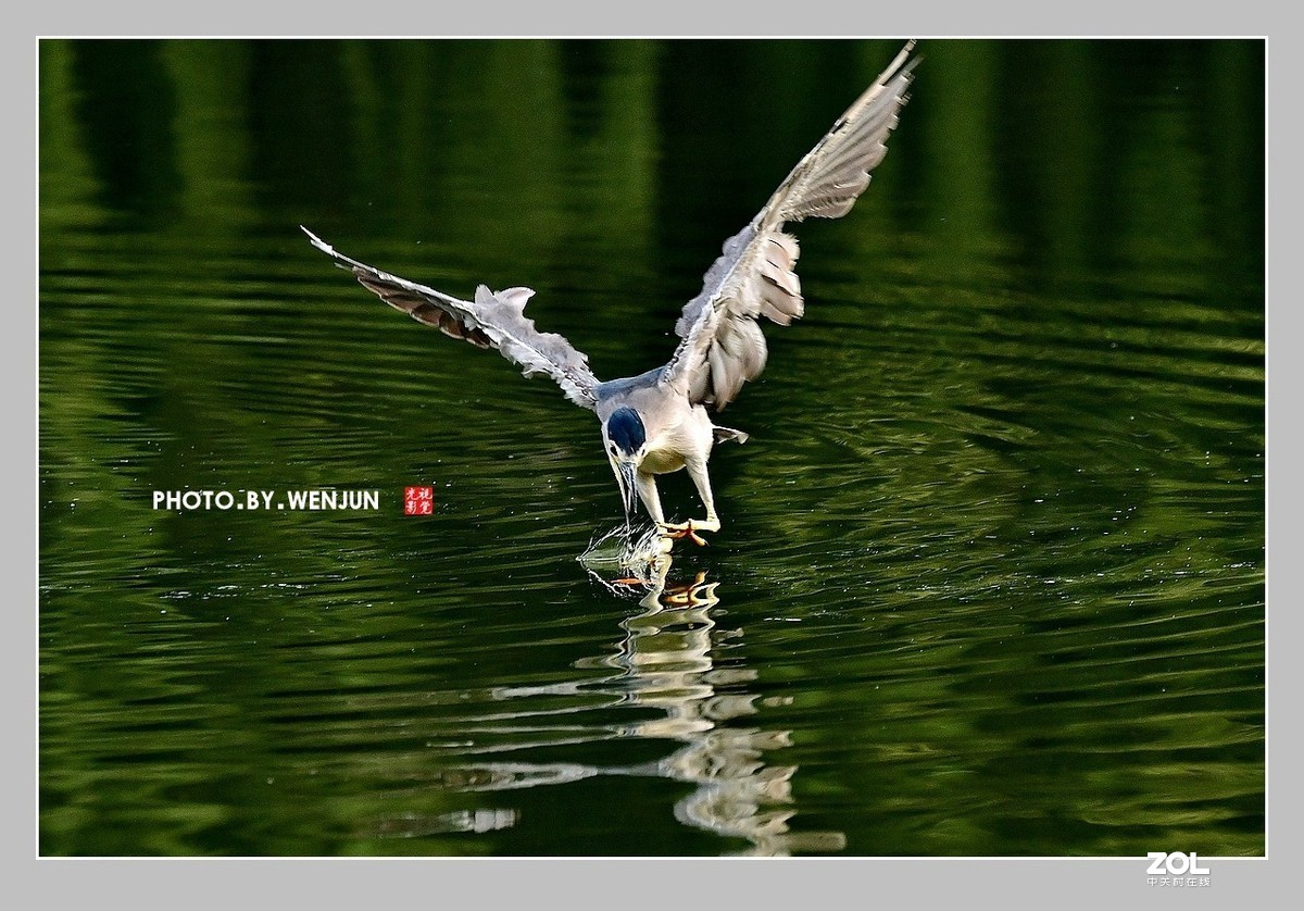 #回顾2019# 我购买了一台尼康D500