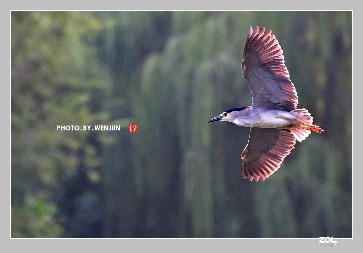 #回顾2019# 我购买了一台尼康D500