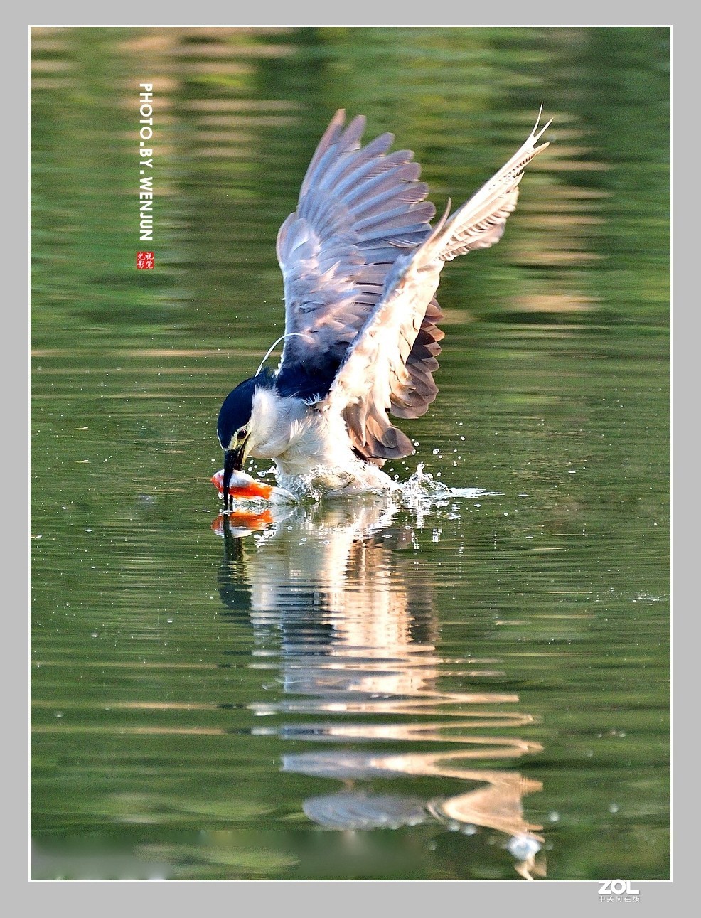 #回顾2019# 我购买了一台尼康D500