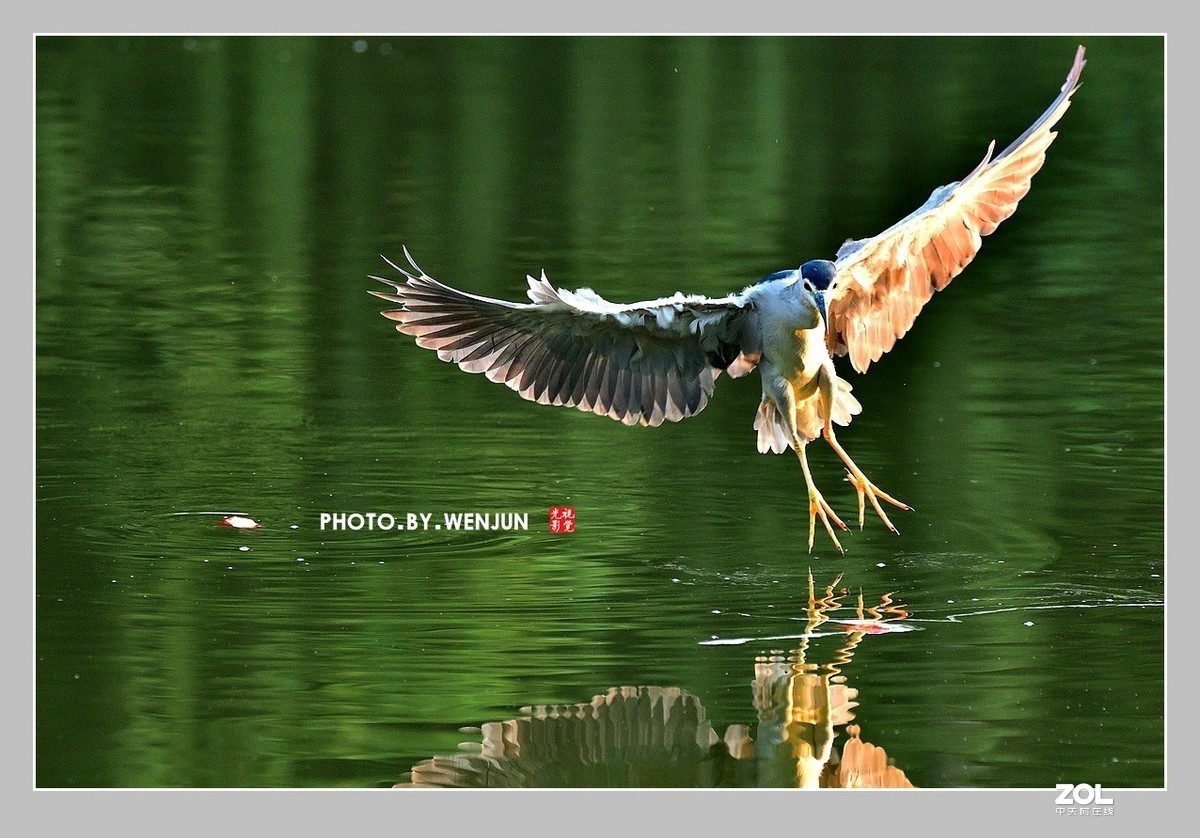 #回顾2019# 我购买了一台尼康D500