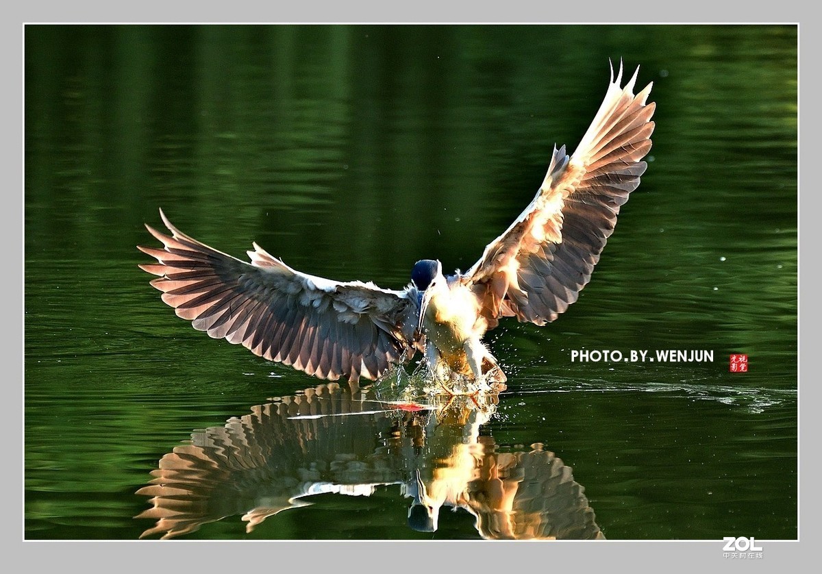 #回顾2019# 我购买了一台尼康D500