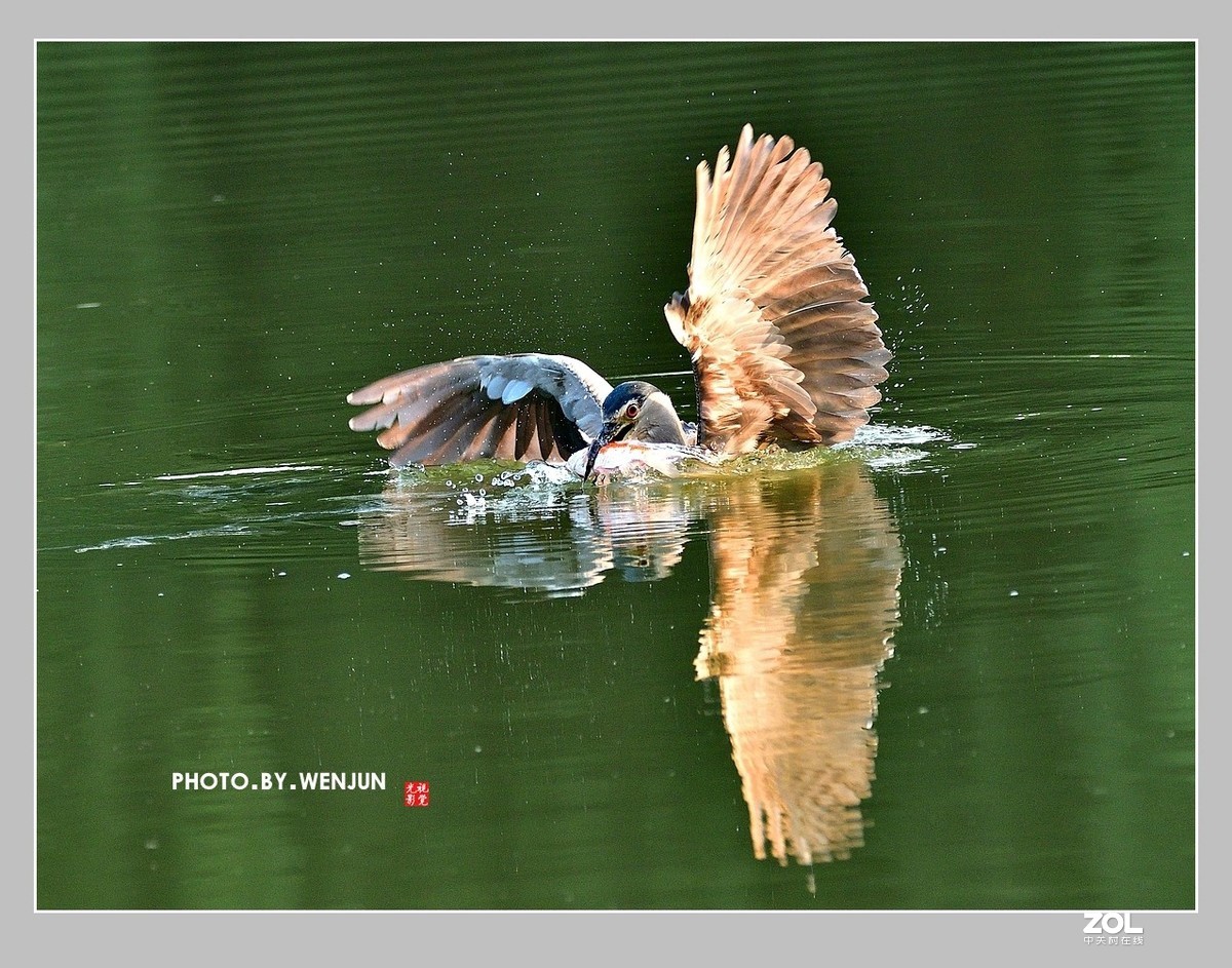 #回顾2019# 我购买了一台尼康D500