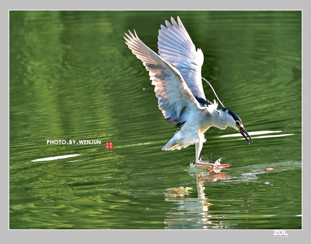 #回顾2019# 我购买了一台尼康D500