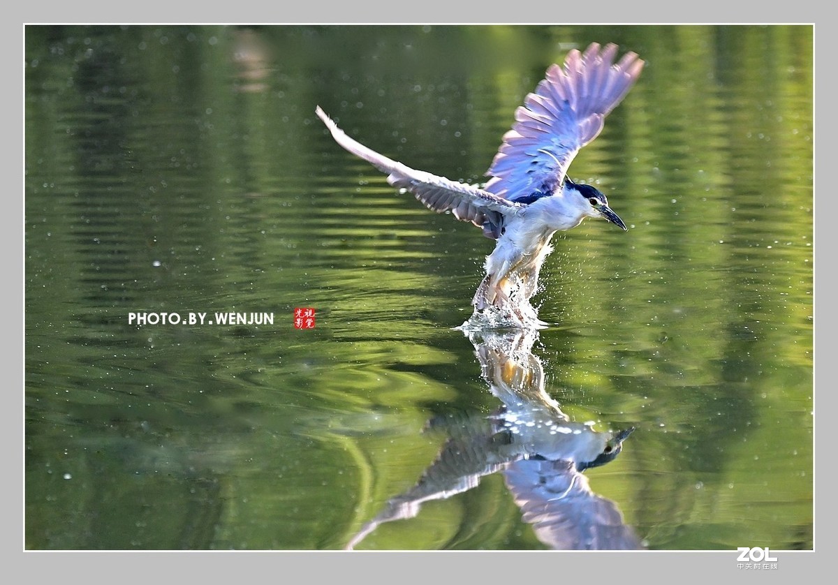 #回顾2019# 我购买了一台尼康D500