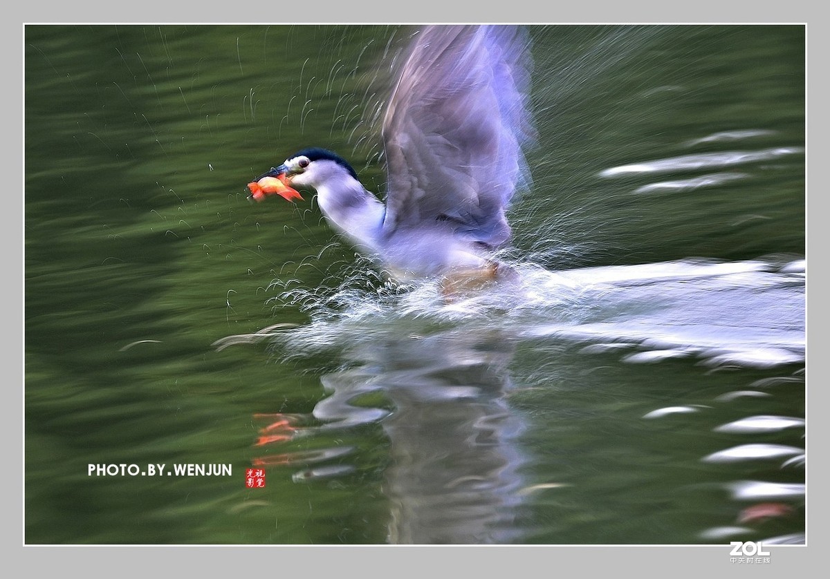 #回顾2019# 我购买了一台尼康D500