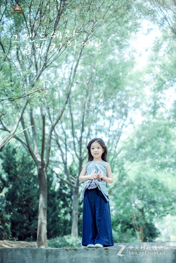 天蓝蓝树蓝蓝 聊城巧克力城堡作品