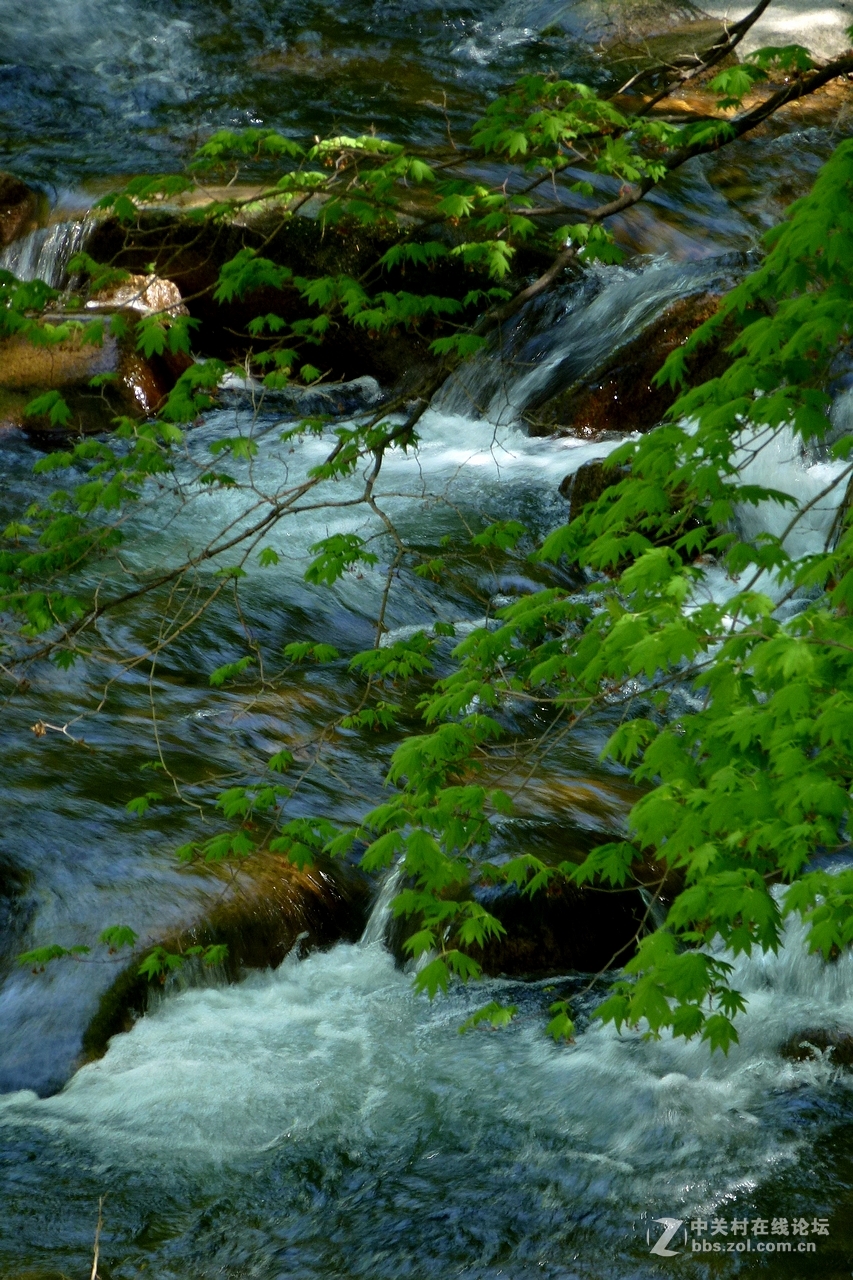 山间溪水