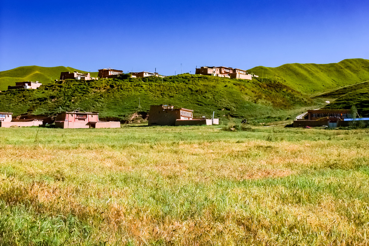 川西阿坝州风光 《红原大草原》