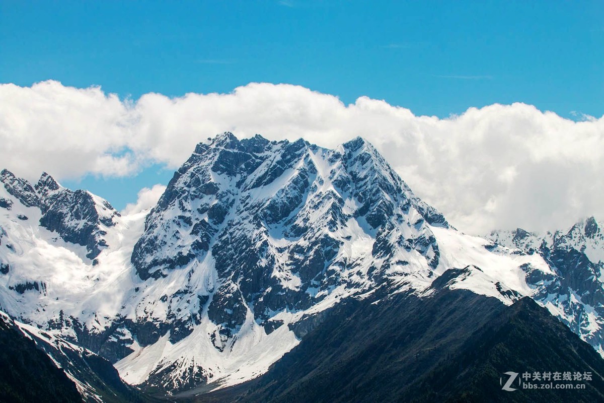 云南行--白马雪山