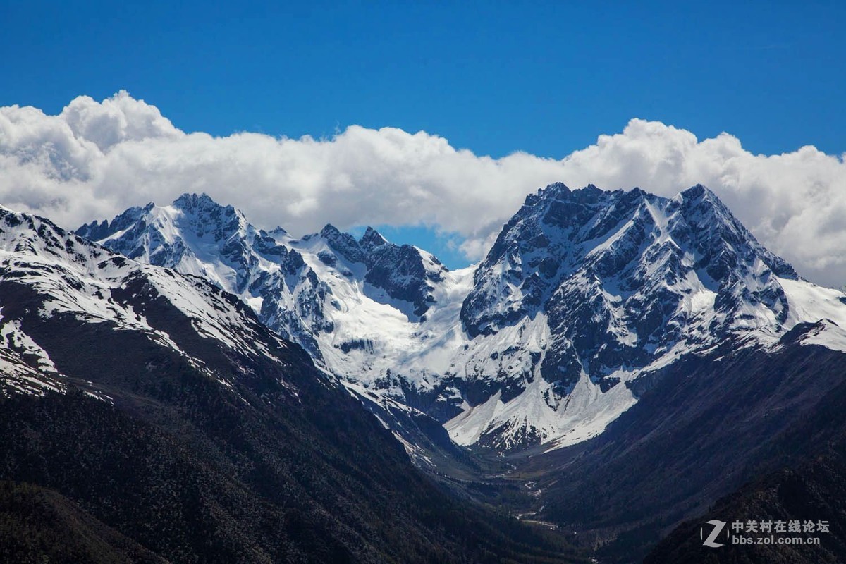 云南行--白马雪山