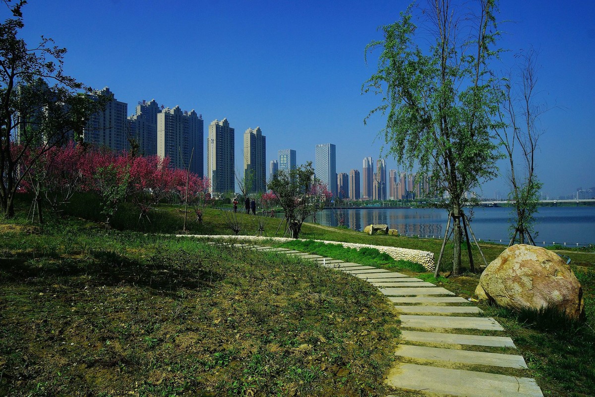 武汉印象----初春的城中湖风光--续（一）！。。。。。。。。。