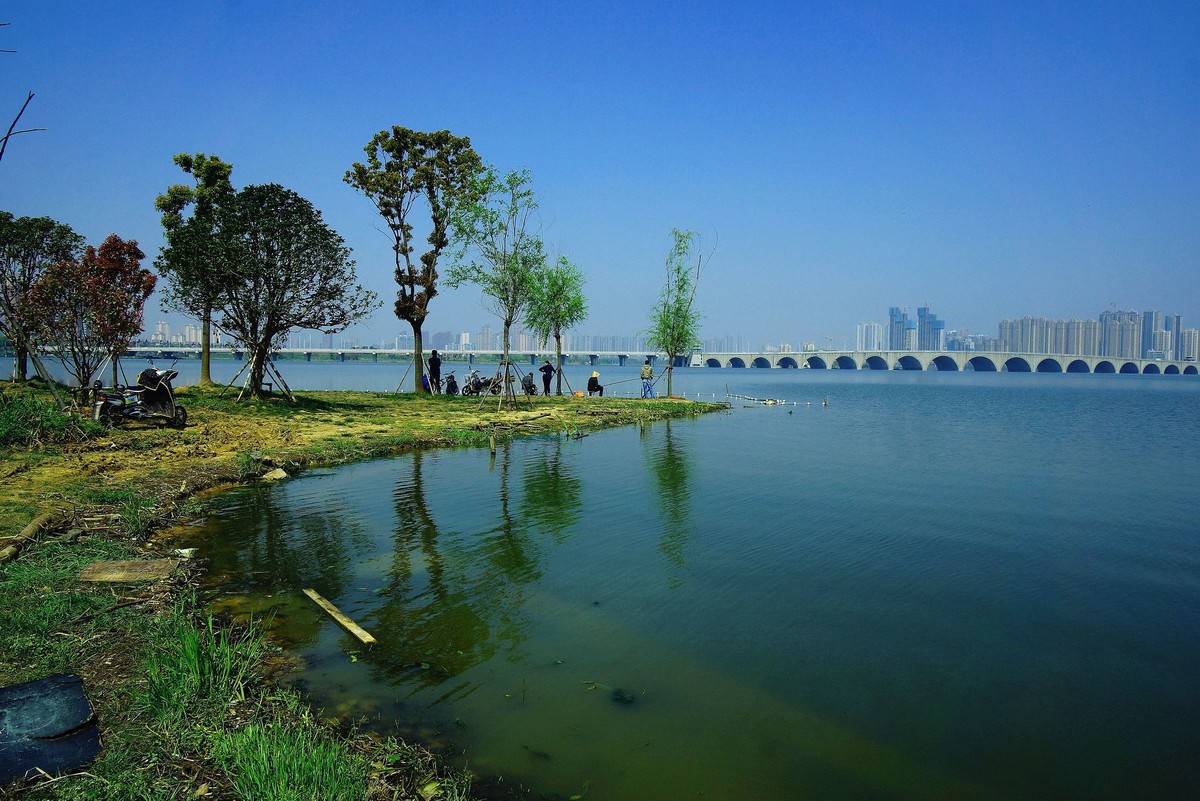 武汉印象----初春的城中湖风光--续（一）！。。。。。。。。。
