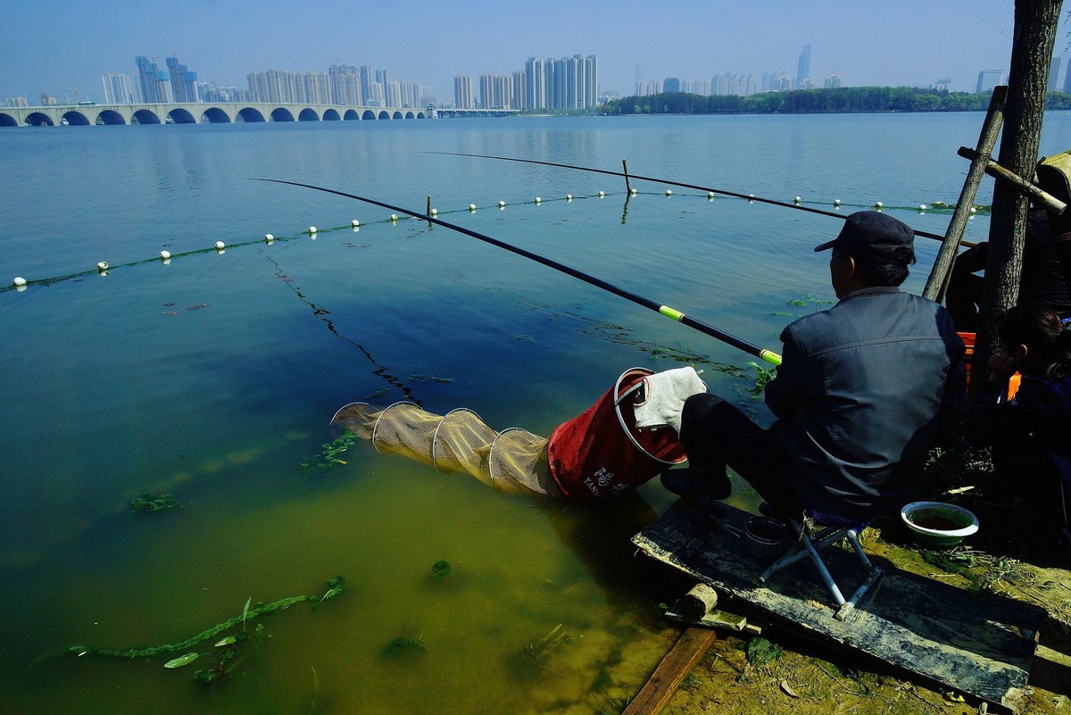 武汉印象----初春的城中湖风光--续（一）！。。。。。。。。。