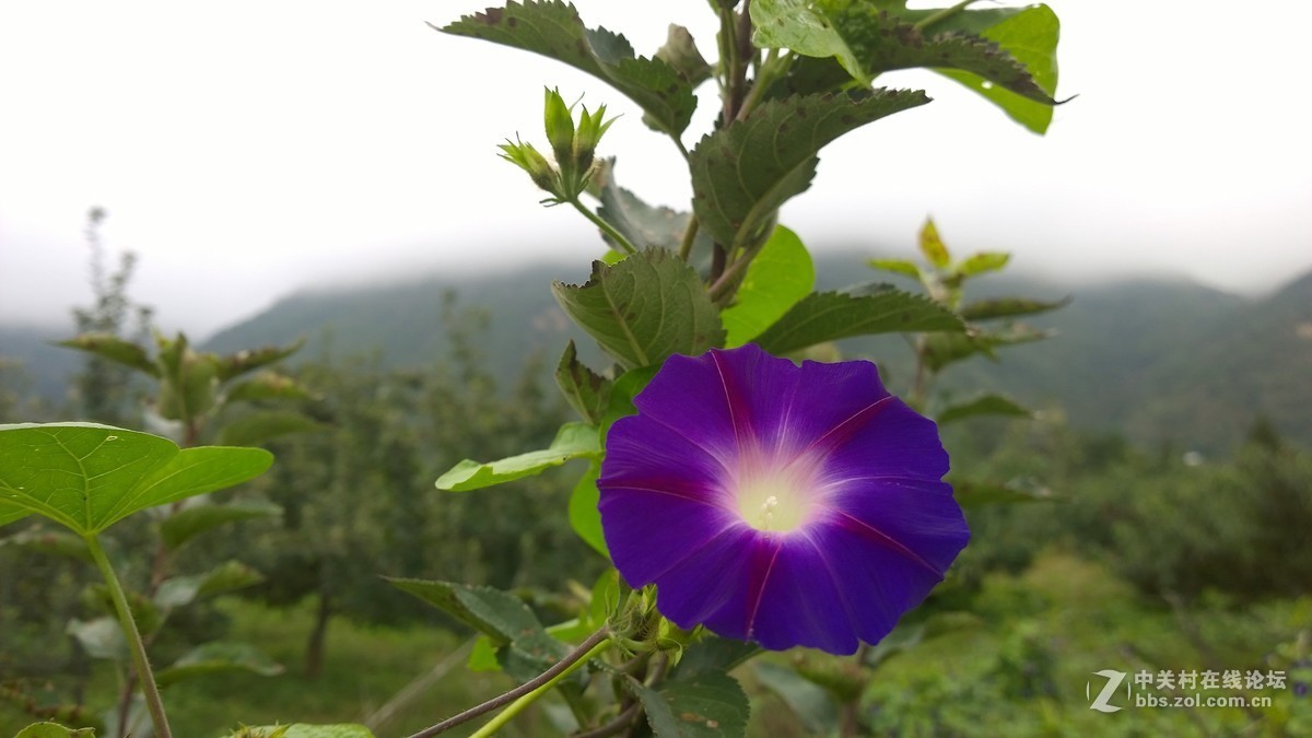 2017年秋天的一组照片，请大家观赏！！！