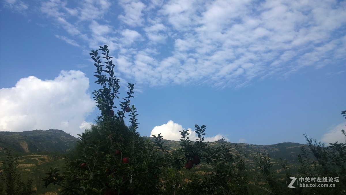 2017年秋天的一组照片，请大家观赏！！！