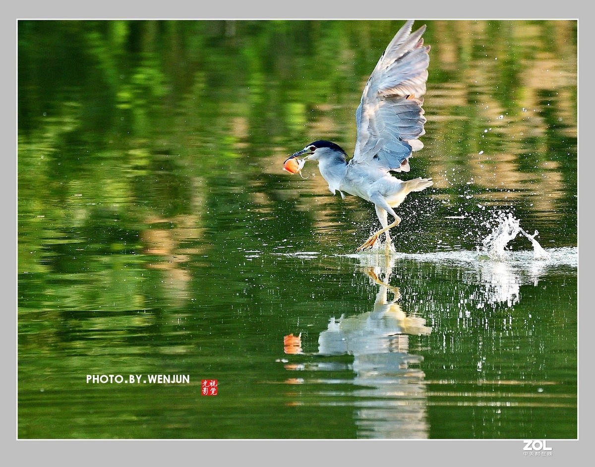 #回顾2019# 我购买了一台尼康D500