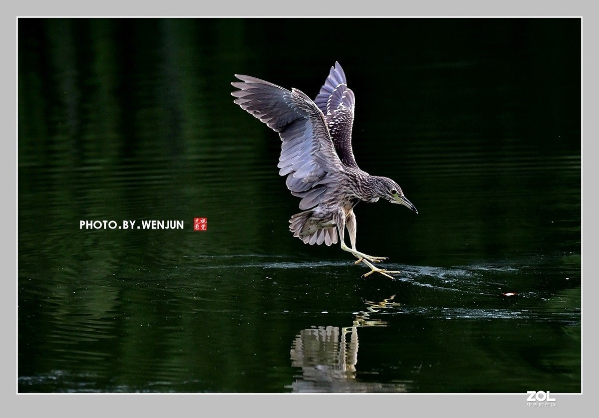 #回顾2019# 我购买了一台尼康D500