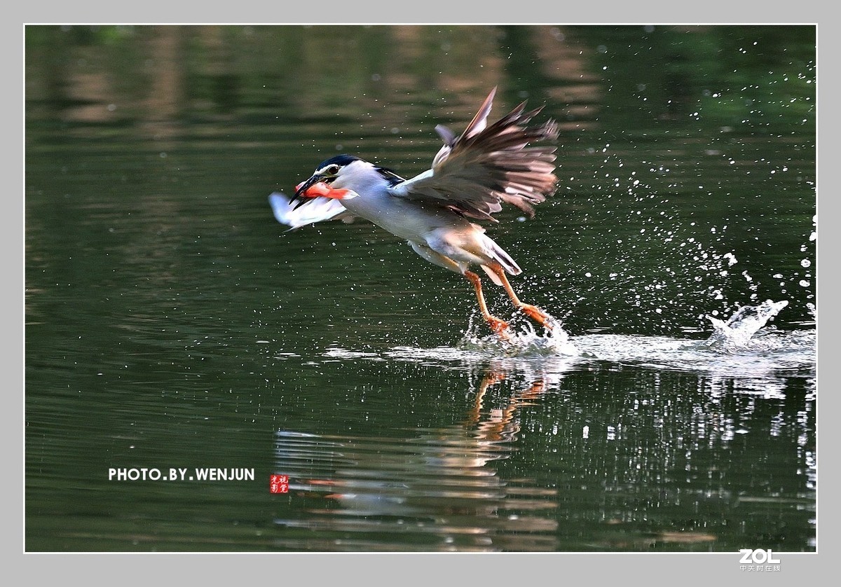 #回顾2019# 我购买了一台尼康D500