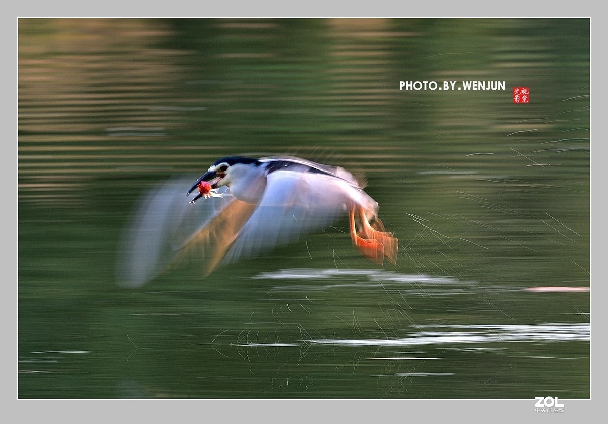 #回顾2019# 我购买了一台尼康D500